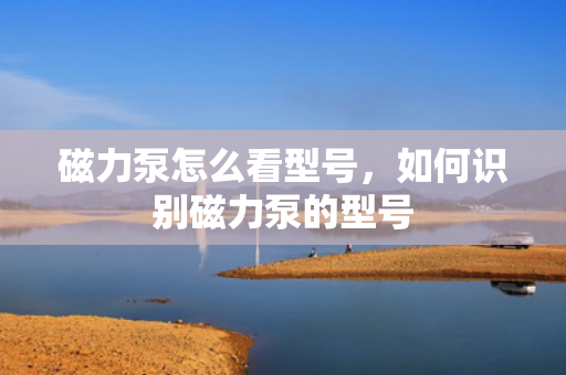 磁力泵怎么看型号，如何识别磁力泵的型号