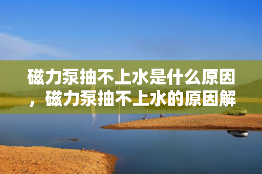 磁力泵抽不上水是什么原因，磁力泵抽不上水的原因解析