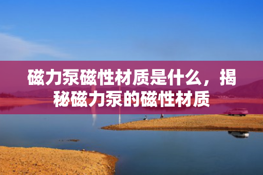 磁力泵磁性材质是什么，揭秘磁力泵的磁性材质