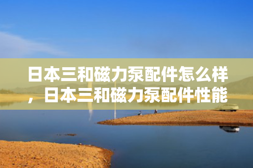 日本三和磁力泵配件怎么样，日本三和磁力泵配件性能评测及用户反馈