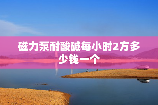 磁力泵耐酸碱每小时2方多少钱一个