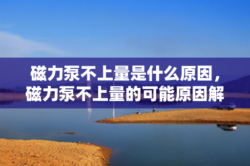 磁力泵不上量是什么原因，磁力泵不上量的可能原因解析