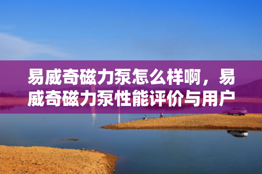 易威奇磁力泵怎么样啊，易威奇磁力泵性能评价与用户反馈