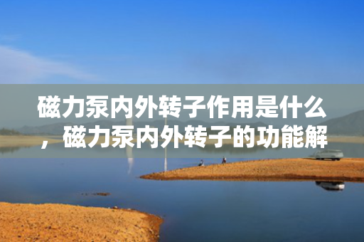 磁力泵内外转子作用是什么，磁力泵内外转子的功能解析