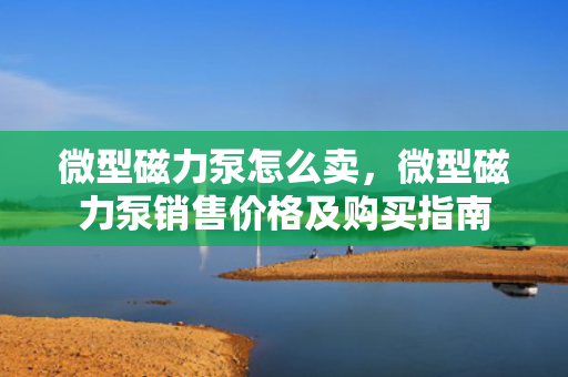 微型磁力泵怎么卖，微型磁力泵销售价格及购买指南