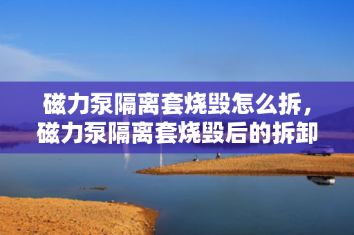 磁力泵隔离套烧毁怎么拆，磁力泵隔离套烧毁后的拆卸方法