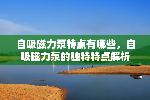 自吸磁力泵特点有哪些，自吸磁力泵的独特特点解析