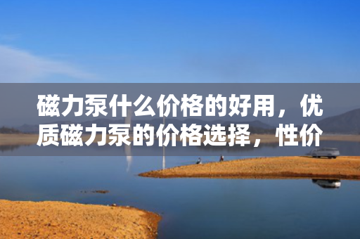 磁力泵什么价格的好用，优质磁力泵的价格选择，性价比高的型号推荐