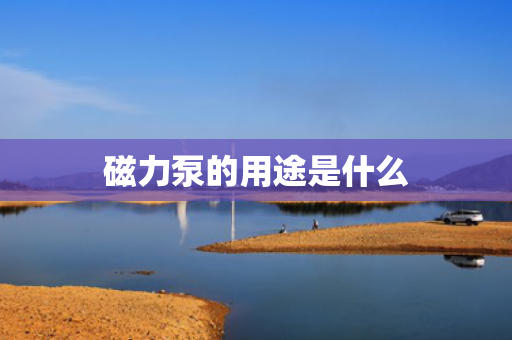 磁力泵的用途是什么