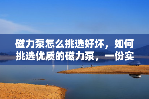 磁力泵怎么挑选好坏，如何挑选优质的磁力泵，一份实用指南