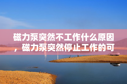 磁力泵突然不工作什么原因，磁力泵突然停止工作的可能原因解析