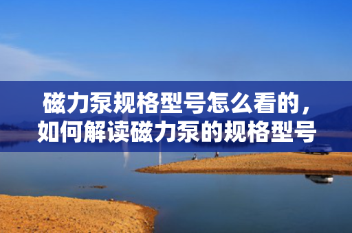 磁力泵规格型号怎么看的，如何解读磁力泵的规格型号