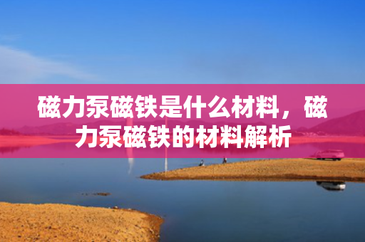 磁力泵磁铁是什么材料，磁力泵磁铁的材料解析