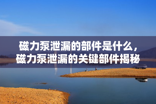 磁力泵泄漏的部件是什么，磁力泵泄漏的关键部件揭秘