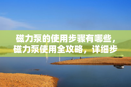 磁力泵的使用步骤有哪些，磁力泵使用全攻略，详细步骤解析