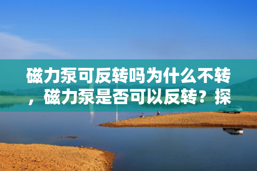 磁力泵可反转吗为什么不转，磁力泵是否可以反转？探究其不转的原因