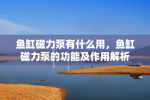 鱼缸磁力泵有什么用，鱼缸磁力泵的功能及作用解析
