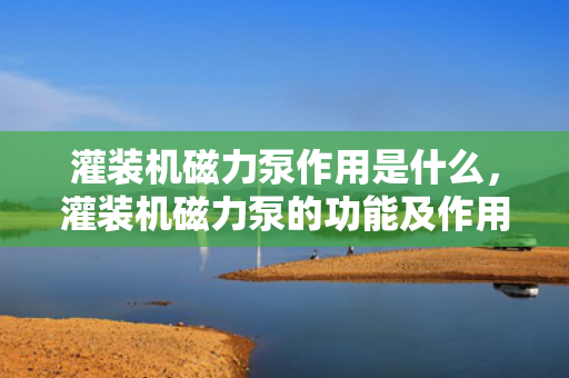 灌装机磁力泵作用是什么，灌装机磁力泵的功能及作用解析