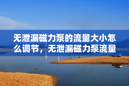 无泄漏磁力泵的流量大小怎么调节，无泄漏磁力泵流量调节方法解析