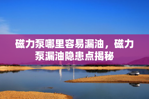 磁力泵哪里容易漏油，磁力泵漏油隐患点揭秘
