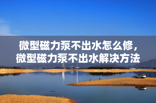 微型磁力泵不出水怎么修，微型磁力泵不出水解决方法及维修指南