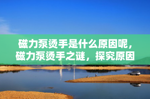 磁力泵烫手是什么原因呢，磁力泵烫手之谜，探究原因与解决方案