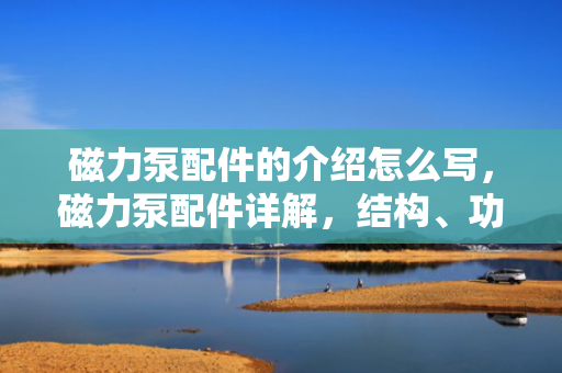 磁力泵配件的介绍怎么写，磁力泵配件详解，结构、功能与选购指南