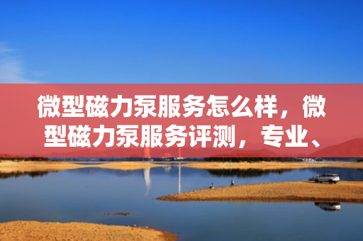 微型磁力泵服务怎么样，微型磁力泵服务评测，专业、高效、满意之选