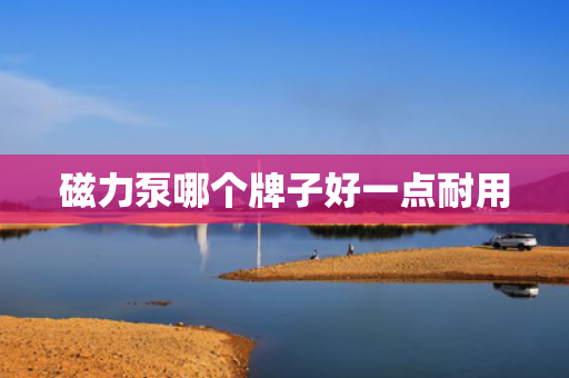 磁力泵哪个牌子好一点耐用