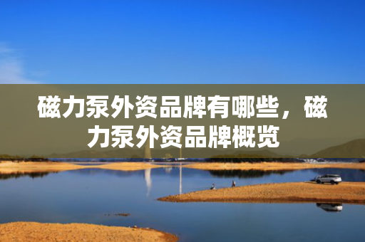 磁力泵外资品牌有哪些，磁力泵外资品牌概览