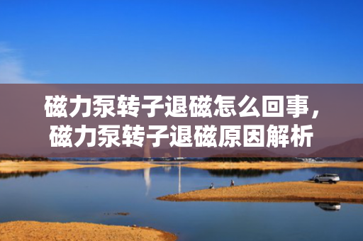 磁力泵转子退磁怎么回事，磁力泵转子退磁原因解析