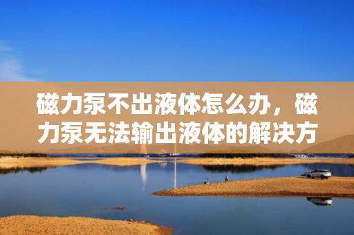 磁力泵不出液体怎么办，磁力泵无法输出液体的解决方法