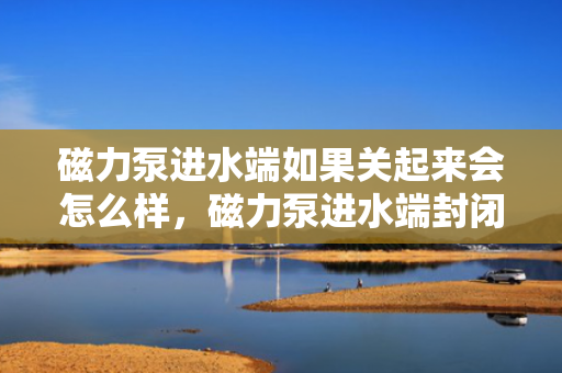 磁力泵进水端如果关起来会怎么样，磁力泵进水端封闭后的影响及后果解析