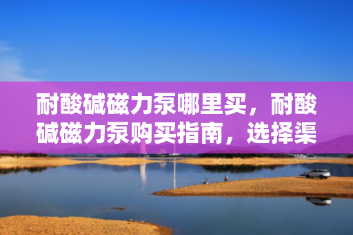 耐酸碱磁力泵哪里买，耐酸碱磁力泵购买指南，选择渠道与注意事项