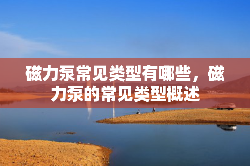 磁力泵常见类型有哪些，磁力泵的常见类型概述