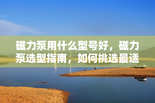 磁力泵用什么型号好，磁力泵选型指南，如何挑选最适合的型号