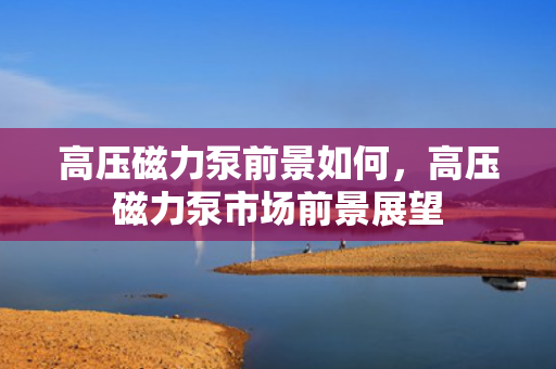 高压磁力泵前景如何，高压磁力泵市场前景展望