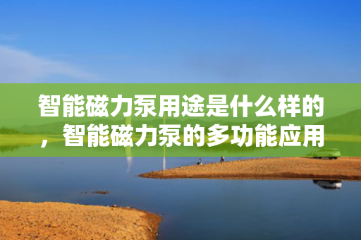 智能磁力泵用途是什么样的，智能磁力泵的多功能应用及介绍