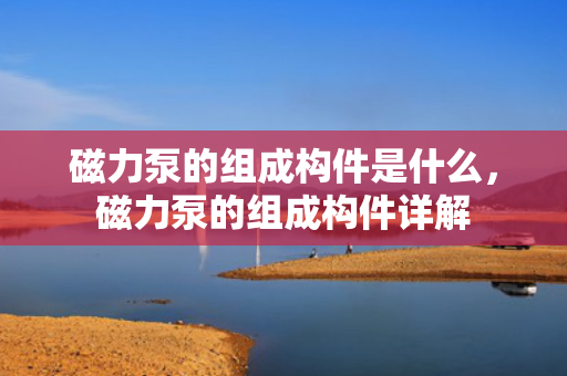 磁力泵的组成构件是什么，磁力泵的组成构件详解