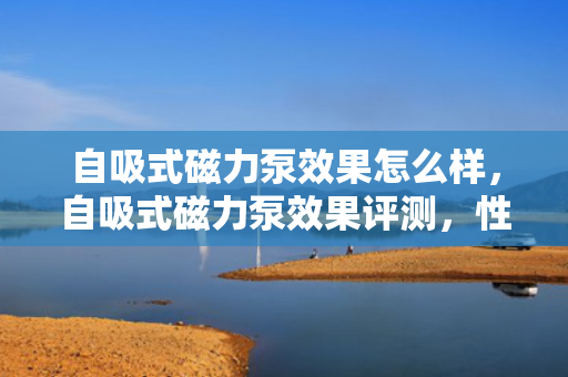 自吸式磁力泵效果怎么样，自吸式磁力泵效果评测，性能卓越，高效稳定