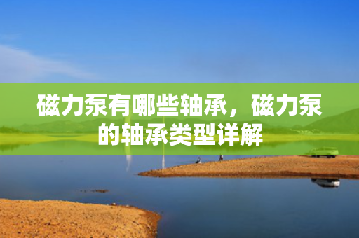 磁力泵有哪些轴承，磁力泵的轴承类型详解