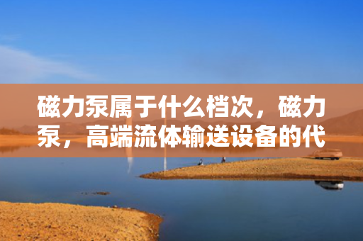 磁力泵属于什么档次，磁力泵，高端流体输送设备的代表