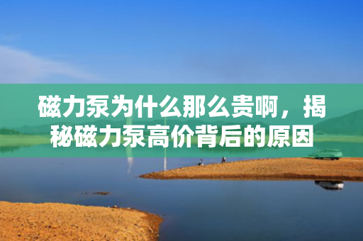 磁力泵为什么那么贵啊，揭秘磁力泵高价背后的原因