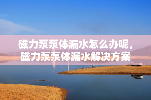 磁力泵泵体漏水怎么办呢，磁力泵泵体漏水解决方案