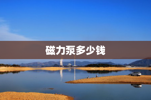磁力泵多少钱