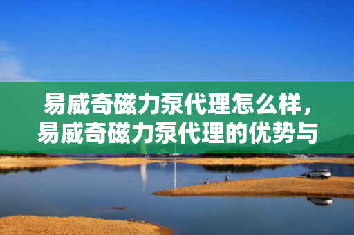 易威奇磁力泵代理怎么样，易威奇磁力泵代理的优势与前景分析