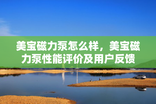 美宝磁力泵怎么样，美宝磁力泵性能评价及用户反馈