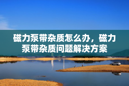 磁力泵带杂质怎么办，磁力泵带杂质问题解决方案