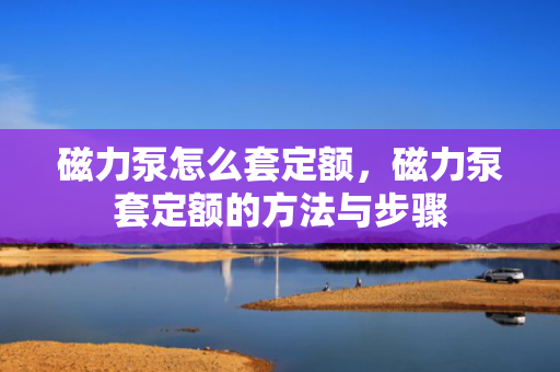 磁力泵怎么套定额，磁力泵套定额的方法与步骤