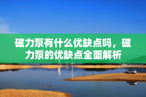 磁力泵有什么优缺点吗，磁力泵的优缺点全面解析